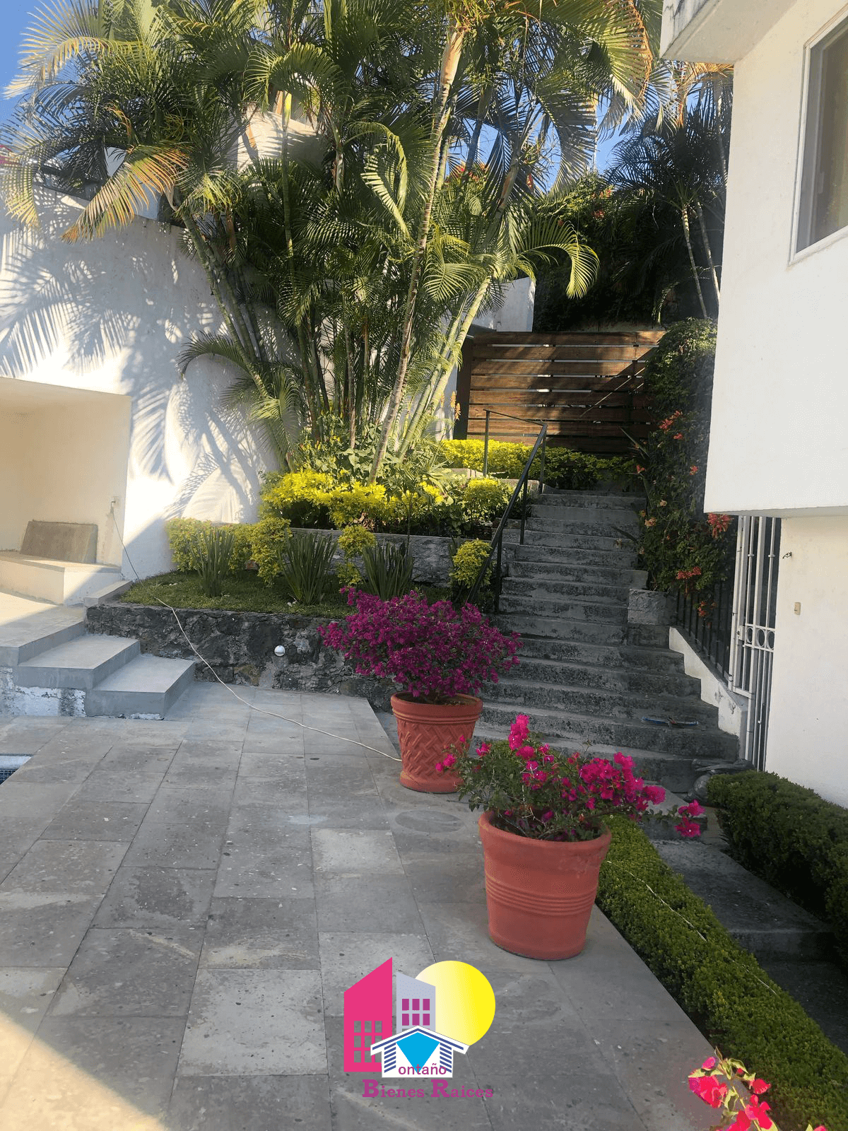 Acceso y escaleras con vegetación